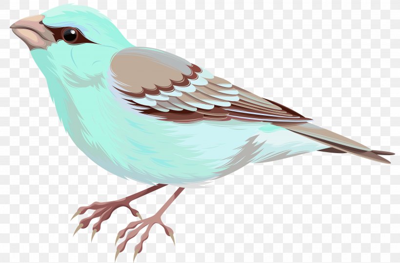 Image File Formats Lossless Compression, PNG, 4000x2643px, Bird, Beak, Computer Software, Fauna, Feather Download Free