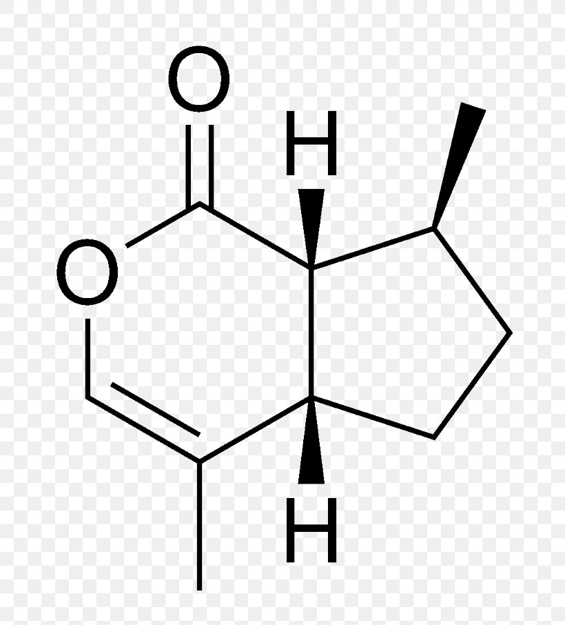 Isosorbide Mononitrate Isosorbide Dinitrate Angina Pectoris Pharmaceutical Drug, PNG, 768x906px, Isosorbide Mononitrate, Active Ingredient, Angina Pectoris, Area, Artwork Download Free