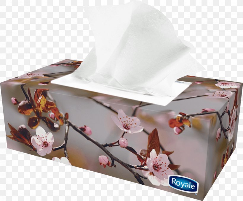Tissue Paper Box Facial Tissues Royale, PNG, 969x801px, Paper, Box, Carton, Facial Tissues, Flower Download Free