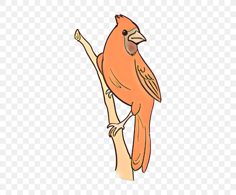 Bird Cardinal Beak Songbird Perching Bird, PNG, 680x678px, Bird, Beak, Canary, Cardinal, European Robin Download Free