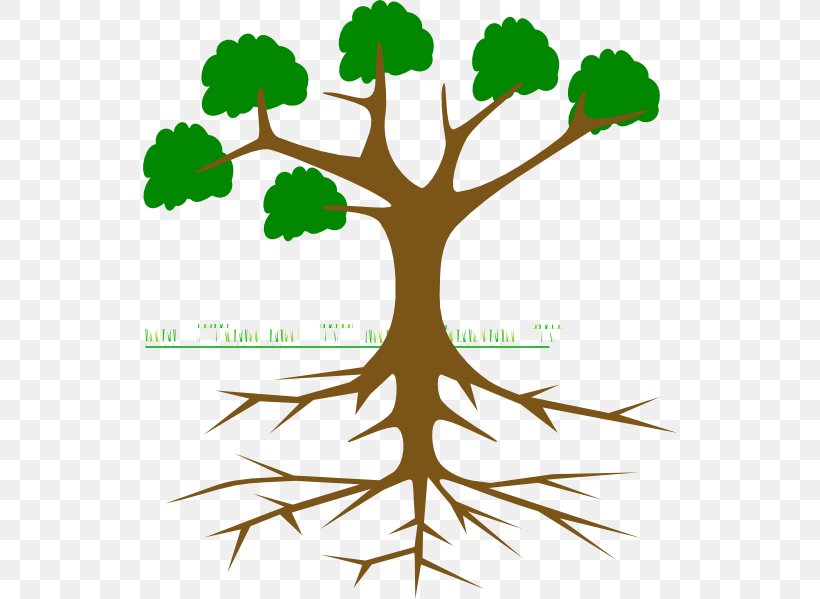 Clip Art Trees And Leaves Image Branch, PNG, 534x599px, Tree, Artwork, Branch, Drawing, Flora Download Free
