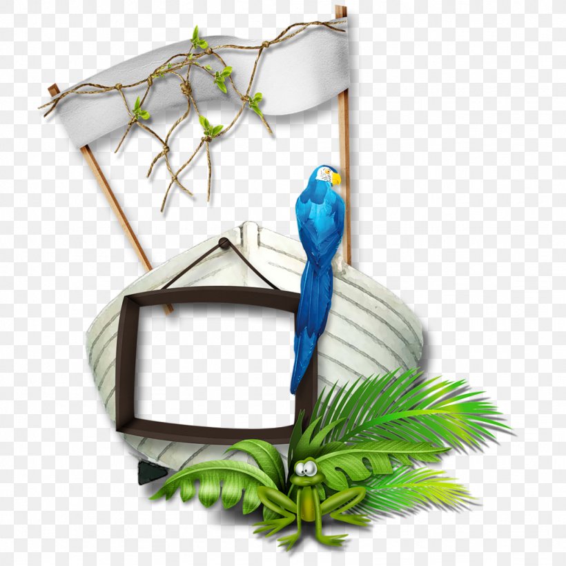 Picture Frames Photography Clip Art, PNG, 1024x1024px, Picture Frames, Beak, Bird, Bird Supply, Branch Download Free