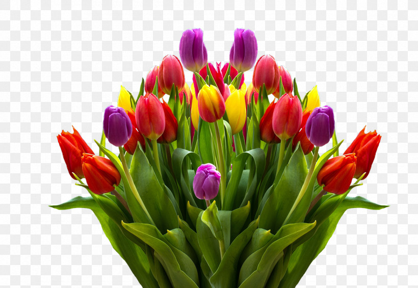 Floral Design, PNG, 1280x882px, Flower, Bouquet, Bud, Crocus, Cut Flowers Download Free