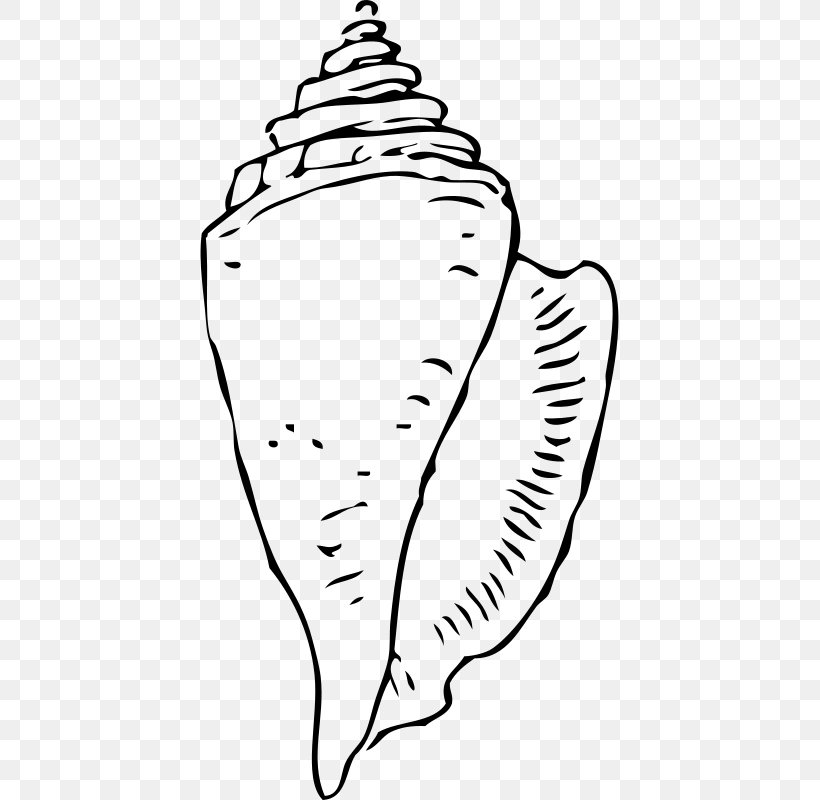 Seashell Conch Gastropod Shell Clip Art, PNG, 419x800px, Watercolor, Cartoon, Flower, Frame, Heart Download Free