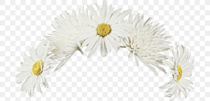 Wreath Garden Roses Flower Chamomile, PNG, 699x395px, Wreath, Artificial Flower, Chamomile, Chrysanths, Crown Download Free