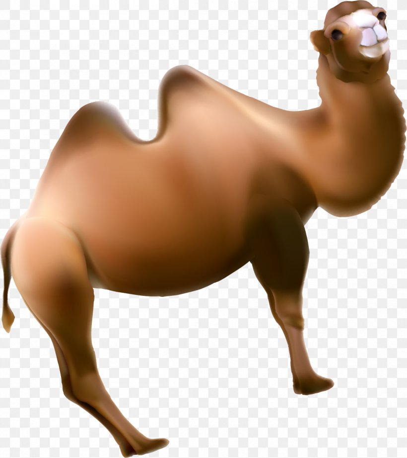 Dromedary Horse Animal, PNG, 1201x1350px, Dromedary, Animal, Arabian Camel, Brown, Camel Download Free