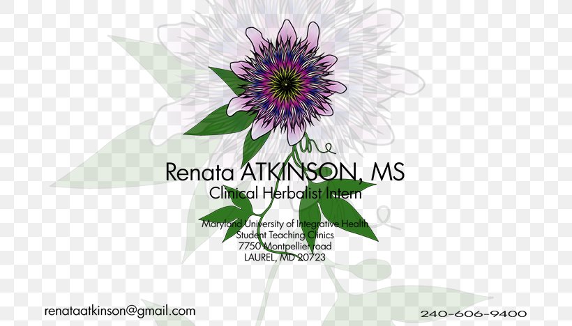 Floral Design Cut Flowers Petal, PNG, 723x468px, Floral Design, Cut Flowers, Flora, Floristry, Flower Download Free