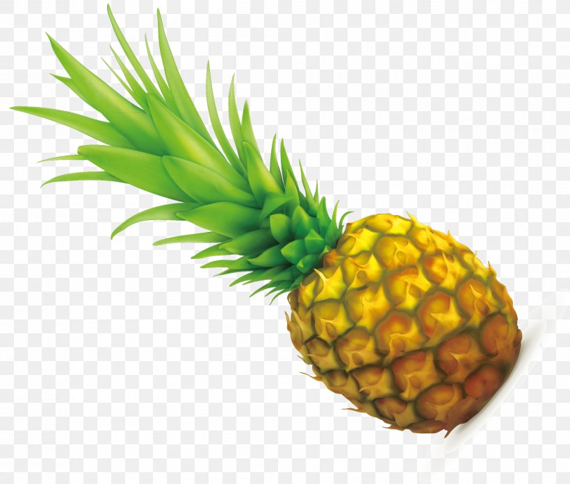 Pineapple, PNG, 1986x1689px, Pineapple, Ananas, Bromeliaceae, Color, Food Download Free