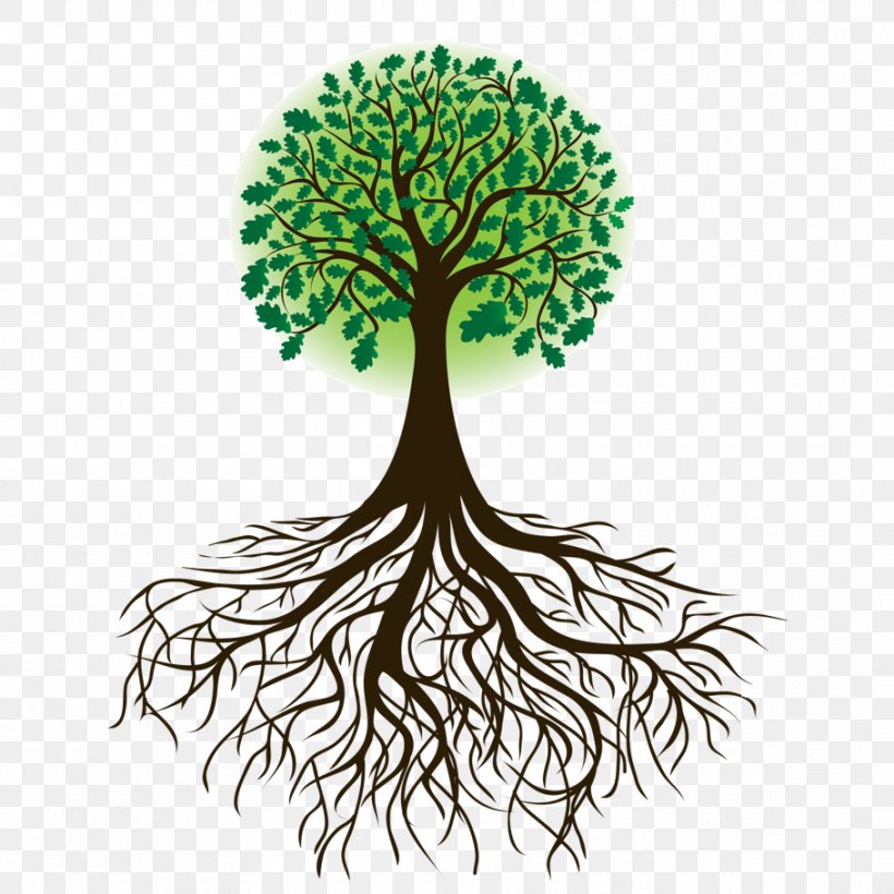 Details, Png - Png Bare Tree Drawing With Roots Transparent PNG - 1003x1471  - Free Download on NicePNG