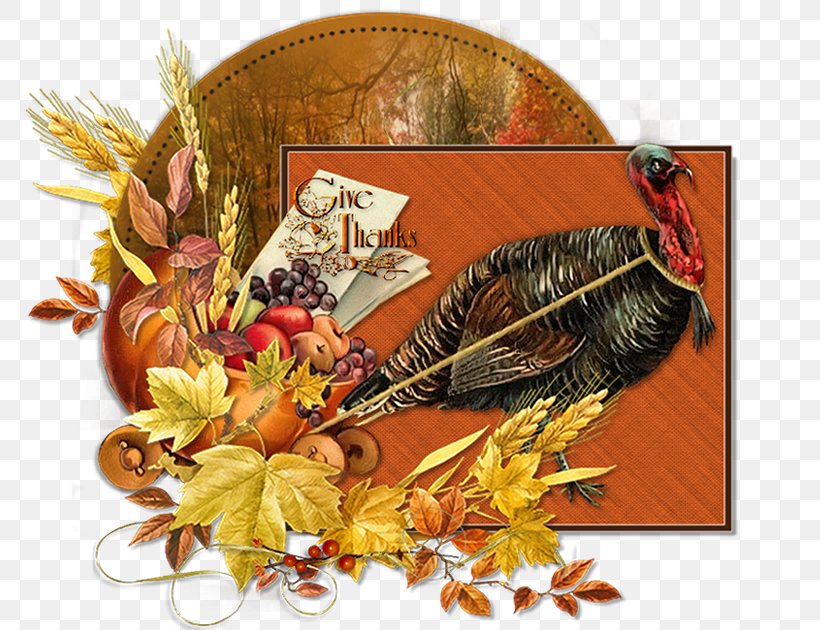 Thanksgiving Ivy, PNG, 767x630px, Thanksgiving, Ivy Download Free