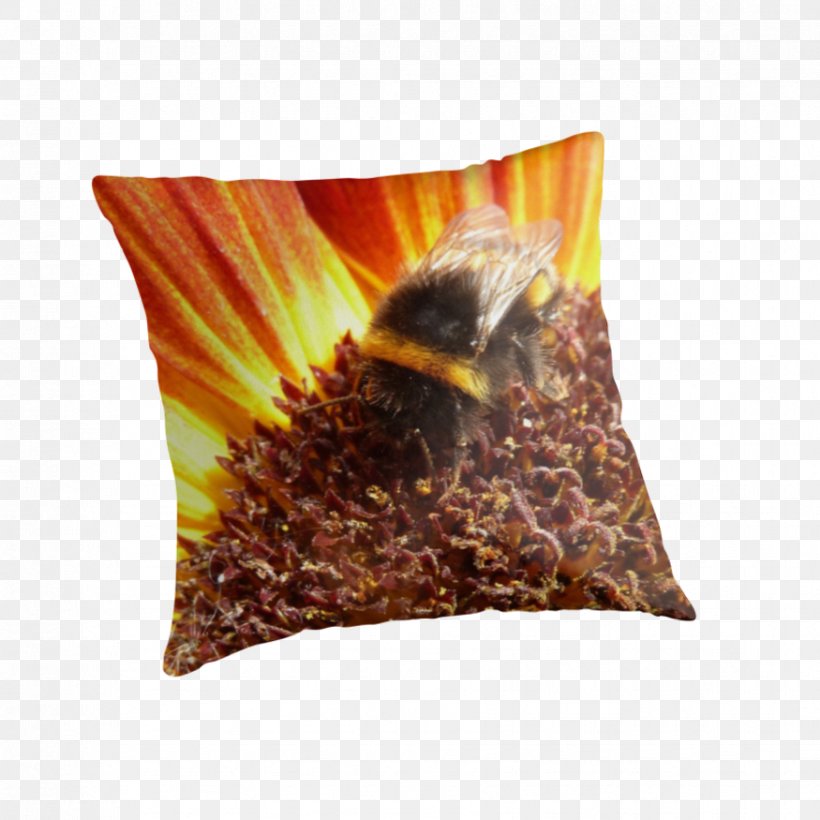 Cushion, PNG, 875x875px, Cushion, Bee, Membrane Winged Insect, Pollinator Download Free