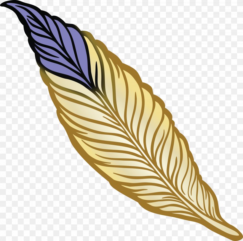 Feather Drawing Bird Clip Art, PNG, 4000x3982px, Feather, Bird, Color, Drawing, Line Art Download Free