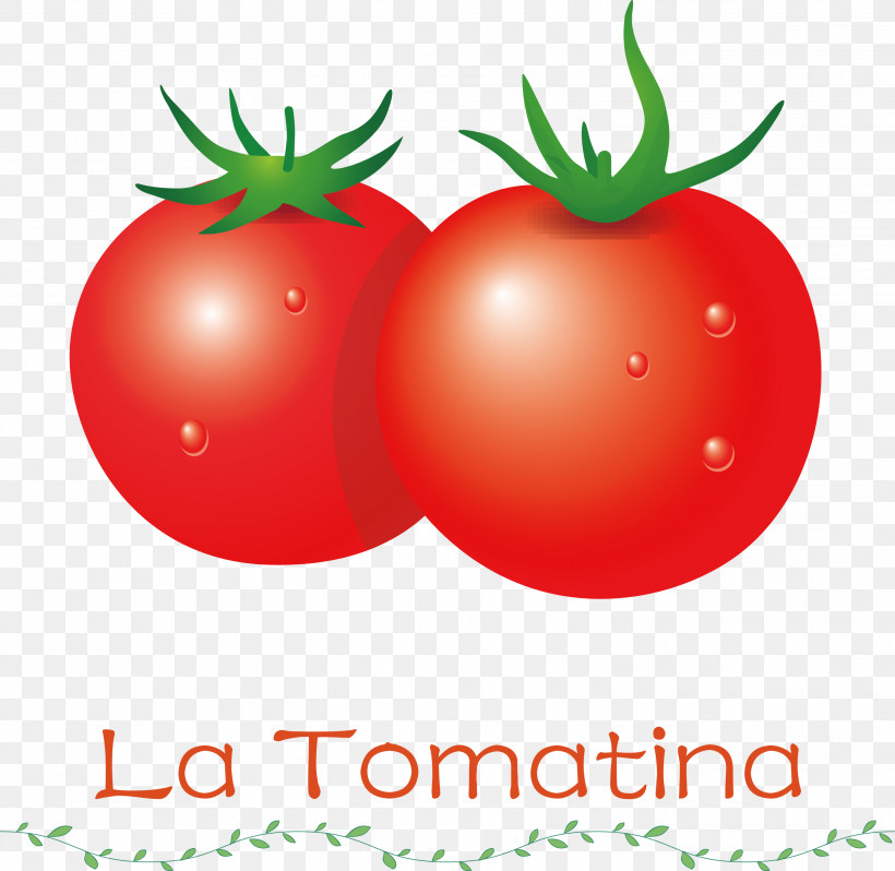 La Tomatina Tomato Throwing Festival, PNG, 2999x2920px, La Tomatina, Bush Tomato, Clementine, Datterino Tomato, Fruit Download Free