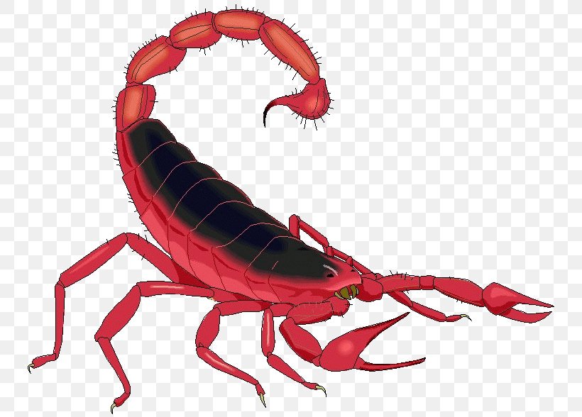 Scorpion Casey Demons Invertebrate Clip Art, PNG, 751x588px, Scorpion, Animal Figure, Animation, Arthropod, Casey Demons Download Free