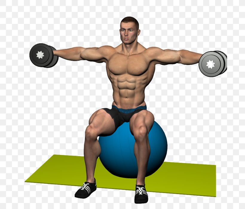 Weight Training Deltoid Muscle Shoulder Rear Delt Raise, PNG, 700x700px, Watercolor, Cartoon, Flower, Frame, Heart Download Free