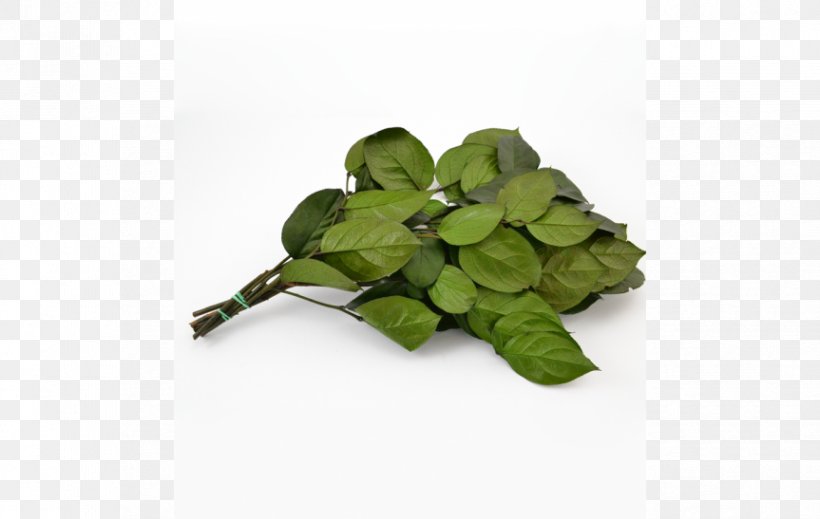 Basil Leaf, PNG, 863x547px, Basil, Herb, Leaf, Plant Download Free