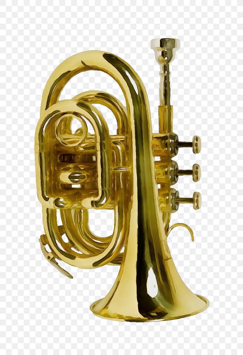 Brass Instrument Musical Instrument Wind Instrument Tuba Alto Horn, PNG, 800x1200px, Watercolor, Alto Horn, Brass, Brass Instrument, Cornet Download Free