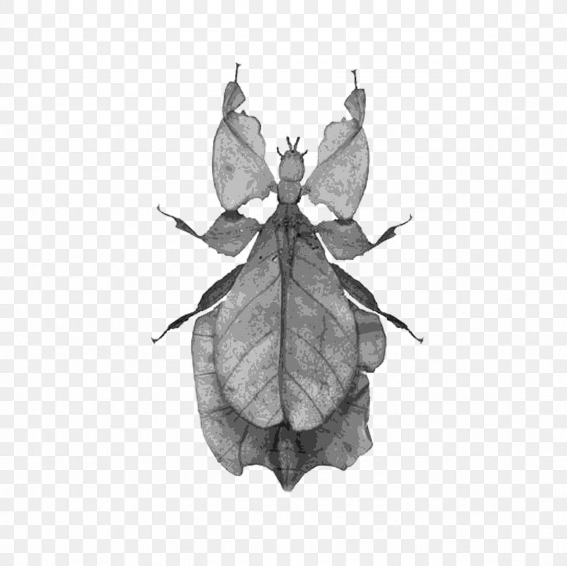 Brush-footed Butterflies Butterfly Leaf Insects Silkworm, PNG, 2362x2362px, Brushfooted Butterflies, Animal, Arthropod, Black And White, Bombycidae Download Free