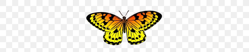 Butterfly Clip Art, PNG, 263x173px, Butterfly, Arthropod, Brush Footed Butterfly, Color, Drawing Download Free
