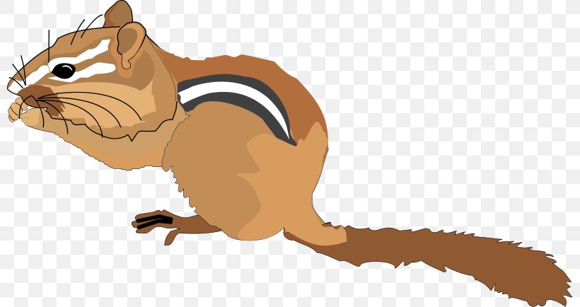Chipmunk Squirrel Rodent Royalty-free Clip Art, PNG, 800x434px, Chipmunk, Alvin And The Chipmunks, Animal Figure, Animation, Carnivoran Download Free