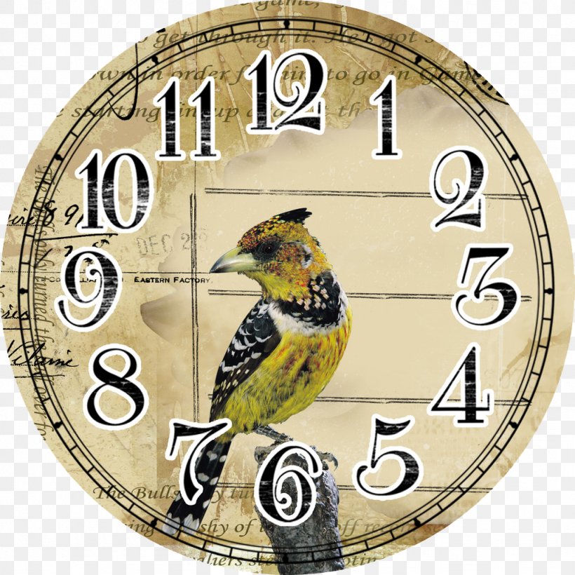 Quartz Clock Clock Face, PNG, 1024x1024px, Clock, Antique, Beak, Clock Face, Fauna Download Free