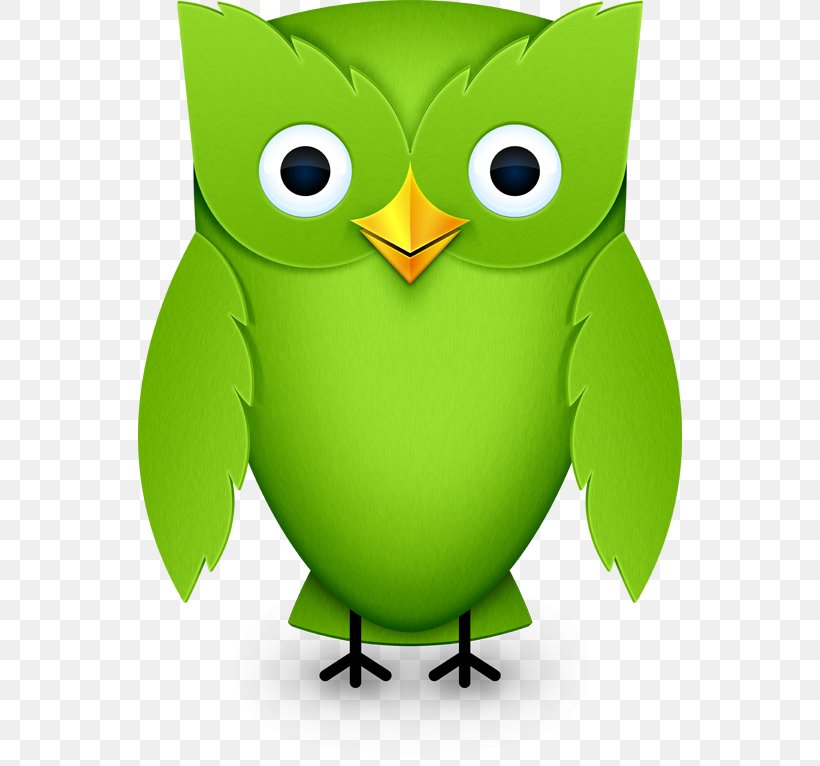 Duolingo Learning Language Translation, PNG, 544x766px, Duolingo, Beak, Bird, Bird Of Prey, Education Download Free