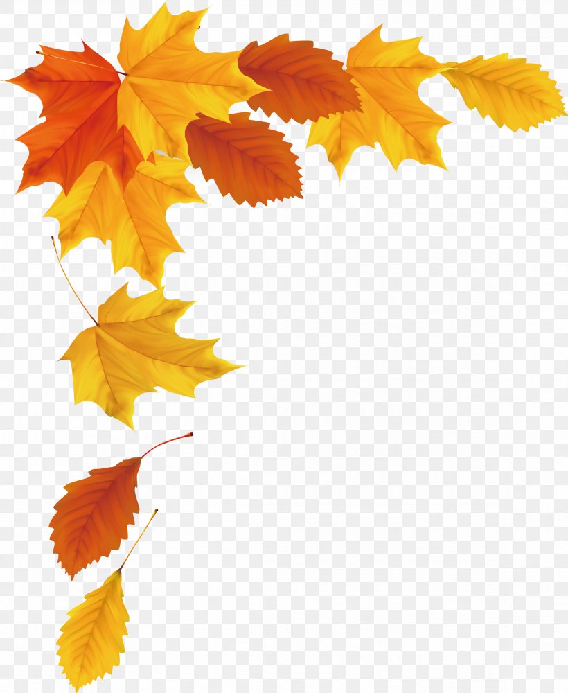 Maple Leaf Autumn, PNG, 2334x2847px, Leaf, Autumn, Autumn Leaf Color, Computer Software, Flower Download Free