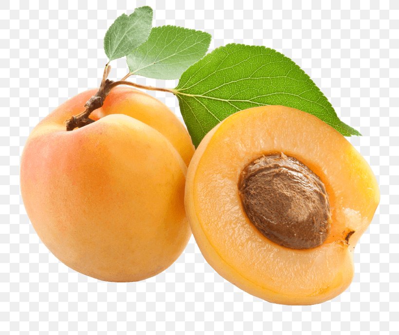 Apricot Kernel Apricot Oil Amygdalin, PNG, 800x688px, Apricot Kernel, Amygdalin, Amygdaloideae, Apple Cider Vinegar, Apricot Download Free