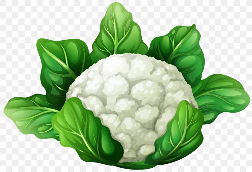 Cauliflower Vegetable Clip Art, PNG, 8000x5454px, Cauliflower, Cabbage, Can Stock Photo, Drawing, Flower Download Free