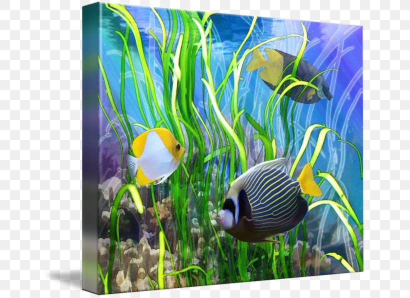 Coral Reef Fish Ecosystem Aquarium Marine Biology, PNG, 650x596px, Coral Reef Fish, Aquarium, Aquarium Decor, Aquatic Animal, Aquatic Plant Download Free
