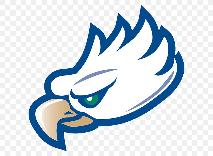 Florida Gulf Coast Eagles Men's Basketball Florida Gulf Coast Eagles Men's Soccer Kennesaw State University Baseball Atlantic Sun Conference, PNG, 600x600px, Kennesaw State University, Area, Artwork, Atlantic Sun Conference, Baseball Download Free