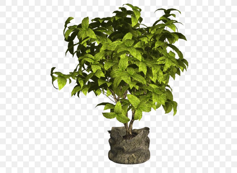 Flowerpot Tree Ornamental Plant Houseplant, PNG, 524x600px, Flowerpot, Flower, Houseplant, Ornamental Plant, Plant Download Free