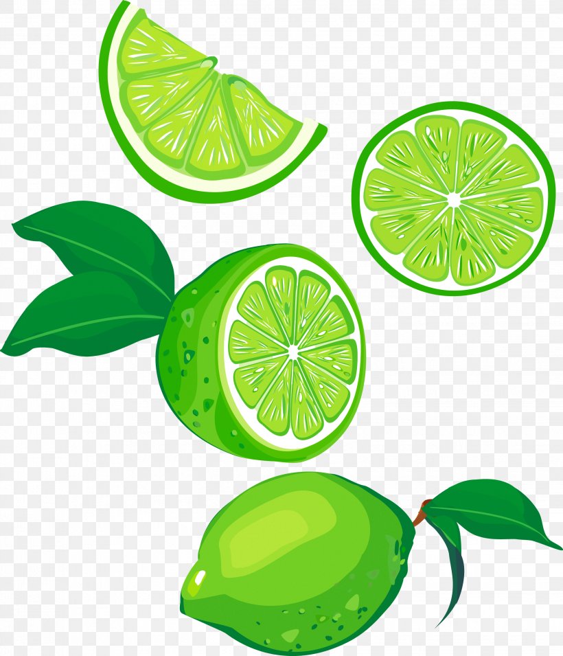 Lemon Lime Fruit Green, PNG, 2244x2614px, Lemon, Citric Acid, Citrus, Color, Flowering Plant Download Free