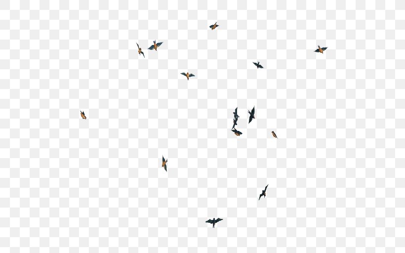 Bird Clip Art Flight Vector Graphics, PNG, 512x512px, Bird, Animal Migration, Bird Flight, Bird Migration, Drawing Download Free