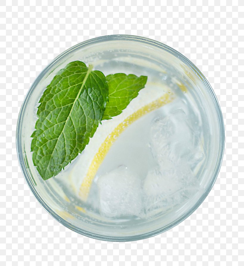 Cocktail Lemonade Drink Lime, PNG, 800x896px, Cocktail, Cream, Cup, Dairy Product, Drink Download Free