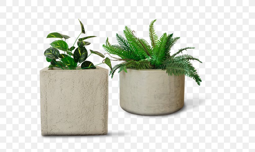 Flowerpot Houseplant Chile Crop Cellplast, PNG, 641x490px, Flowerpot, Architecture, Cellplast, Chile, Crop Download Free