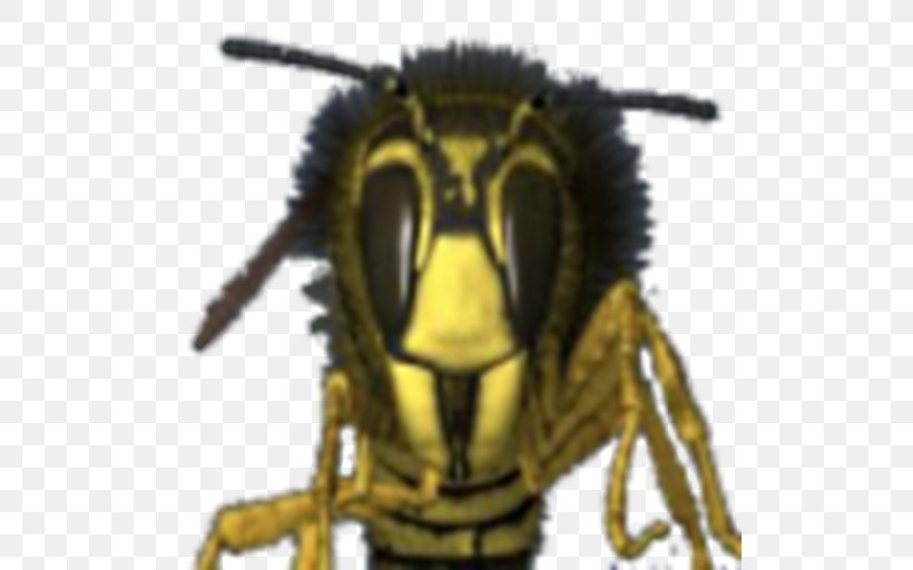 Hornet Bee Wasp Head Technology, PNG, 512x512px, Hornet, Arthropod, Bee, Insect, Invertebrate Download Free