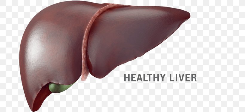 Liver Food Stock Photography Eating Health, PNG, 694x377px, Watercolor, Cartoon, Flower, Frame, Heart Download Free