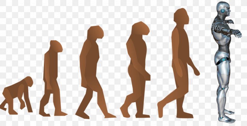 Neanderthal Human Evolution Homo Sapiens Chimpanzee, PNG, 900x458px, Neanderthal, Ape, Charles Darwin, Chimpanzee, Evolution Download Free