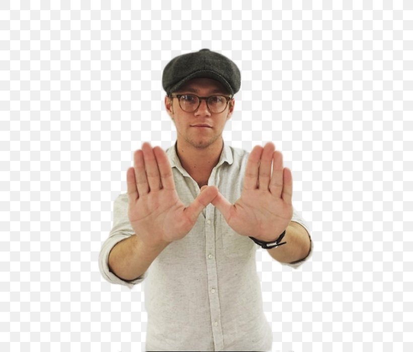Niall Horan One Direction Mullingar Desktop Wallpaper, PNG, 700x700px, Watercolor, Cartoon, Flower, Frame, Heart Download Free