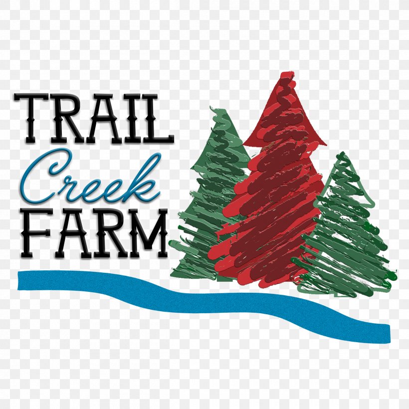 Christmas Tree Lindale Trail Creek Farm, PNG, 2400x2400px, Christmas Tree, Brand, Christmas, Christmas Decoration, Christmas Ornament Download Free