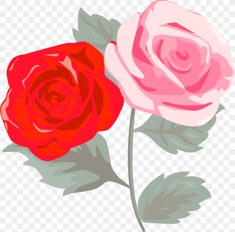 Garden Roses, PNG, 2999x2965px, Pink Rose, Cut Flowers, Floribunda, Flower, Garden Roses Download Free