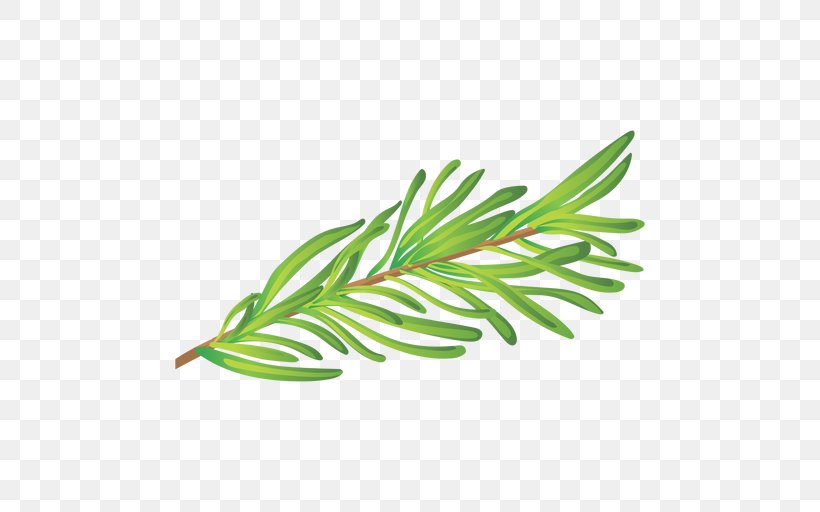 Herb Leaf Medicinal Plants Rosemary Clip Art, PNG, 512x512px, Herb, Branch, Fines Herbes, Grass, Grass Family Download Free