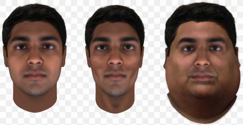 Nose Face Forensic Arts Forensic Facial Reconstruction Forensic Science, PNG, 1677x869px, Nose, Body Mass Index, Chin, Criminal Investigation, Dna Download Free