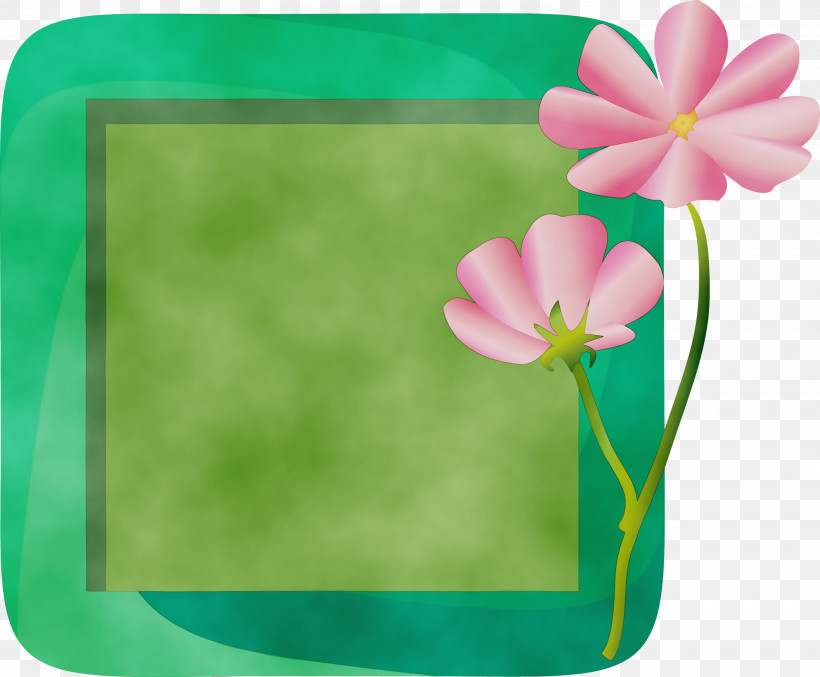 Picture Frame, PNG, 3000x2480px, Flower Photo Frame, Biology, Film Frame, Flower, Flower Frame Download Free