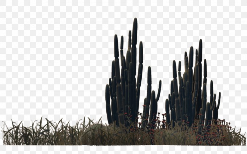 Plant Desert Cactaceae, PNG, 1024x639px, Plant, Black And White, Cactaceae, Cactus, Desert Download Free