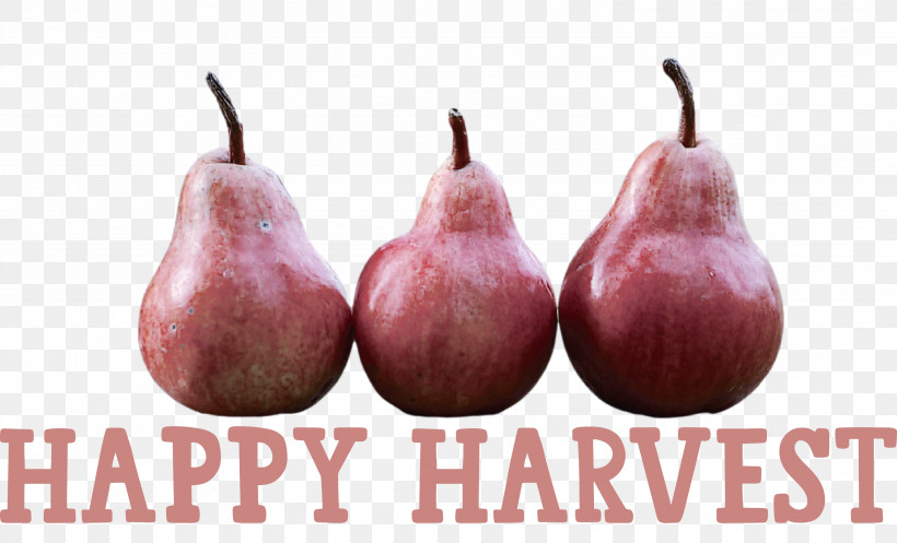 Happy Harvest Harvest Time, PNG, 2999x1819px, Happy Harvest, Fruit, Harvest Time Download Free
