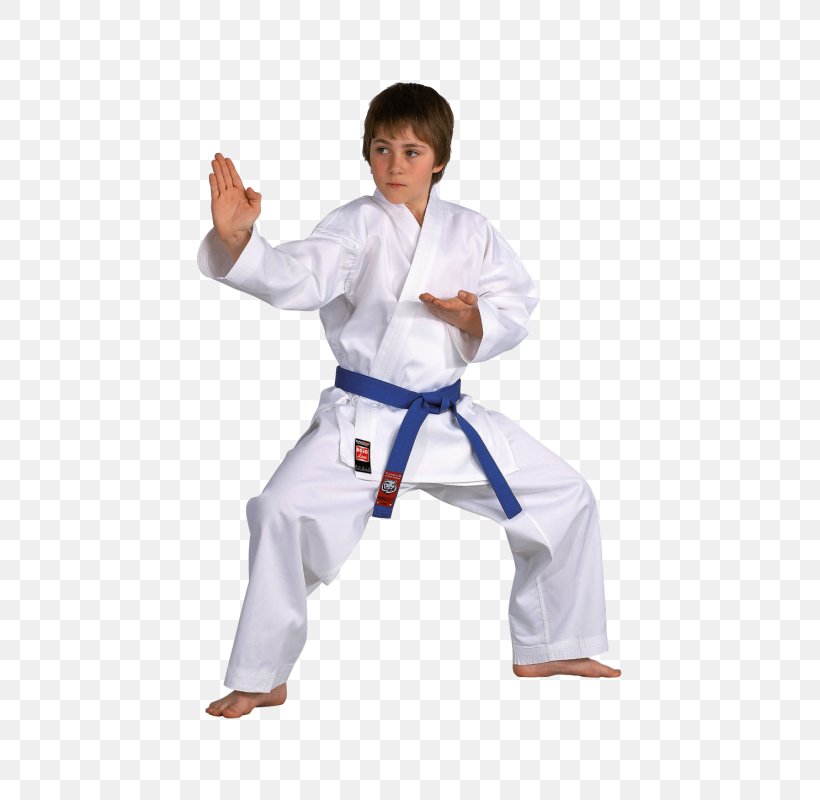 Karate Gi Kyokushin Dojo Shotokan, PNG, 800x800px, Karate Gi, Arm, Child, Combat Sport, Costume Download Free