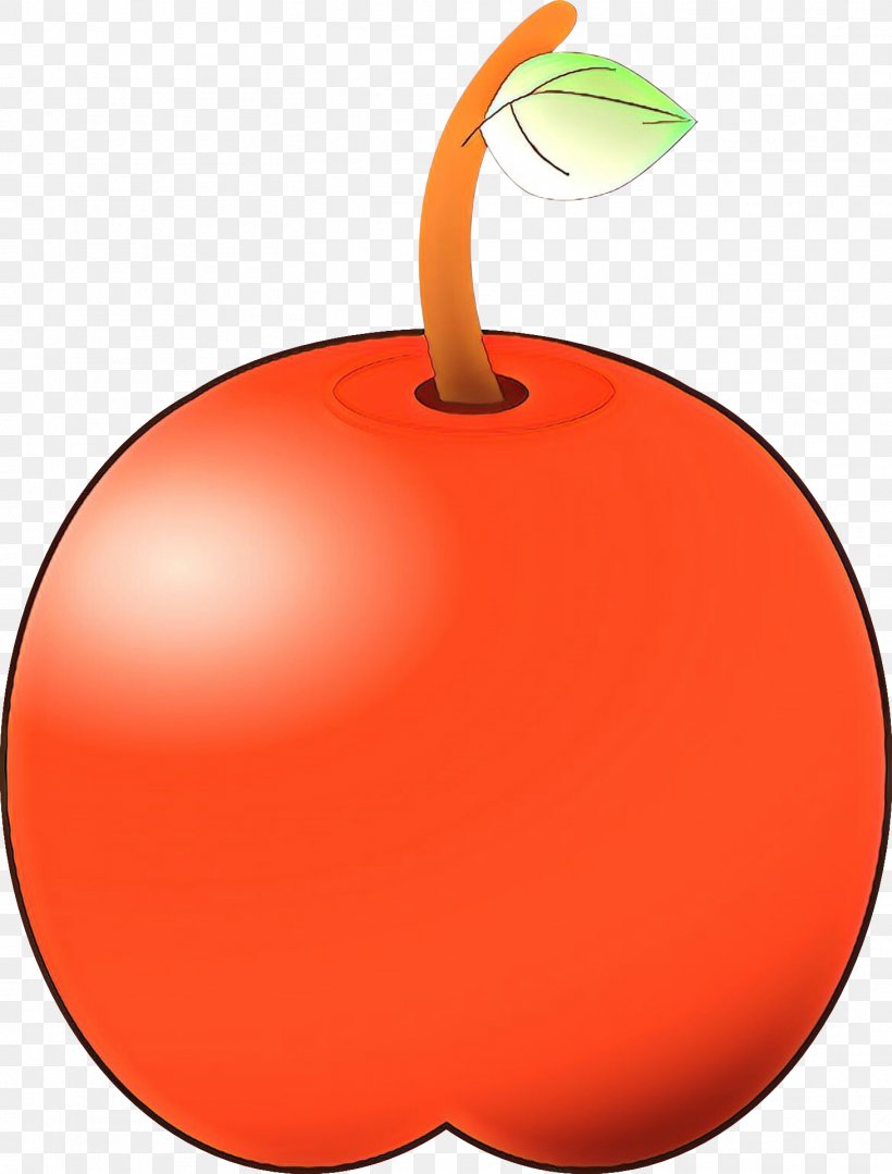 Orange, PNG, 1459x1920px, Cartoon, Apple, Drupe, Fruit, Orange Download Free