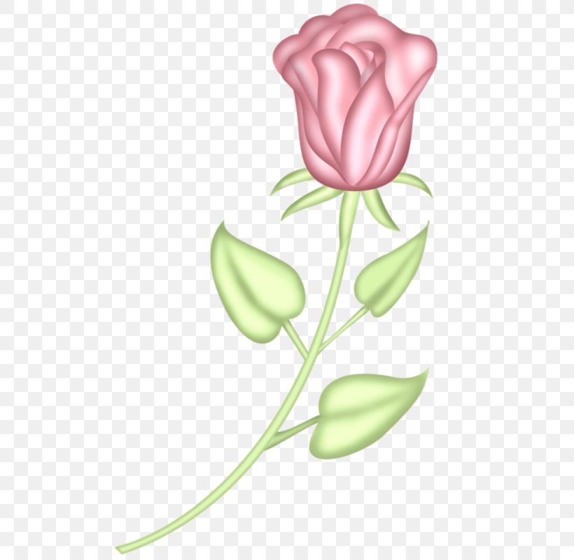 Pink Tulip Flower Icon, PNG, 518x800px, Pink, Beach Rose, Color, Designer, Flora Download Free